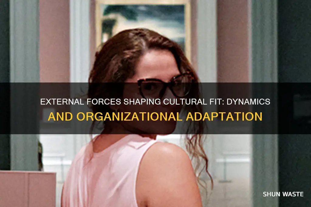 how does the external environment affect cultural fit