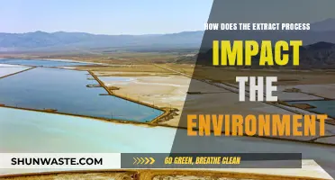 Environmental Impact of Extraction: Processes, Consequences, and Sustainable Solutions