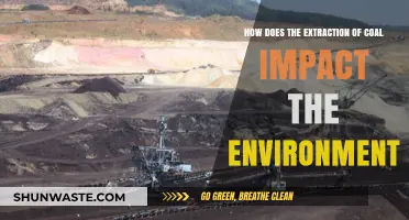 Coal Extraction's Environmental Toll: Pollution, Habitat Loss, and Climate Change