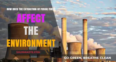 Fossil Fuel Extraction: Environmental Impacts and Ecosystem Consequences Explained
