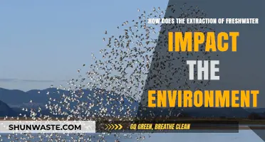 Freshwater Extraction's Environmental Toll: Impacts and Sustainable Solutions