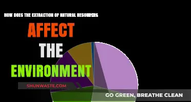 Environmental Impact: Natural Resource Extraction's Devastating Effects on Ecosystems