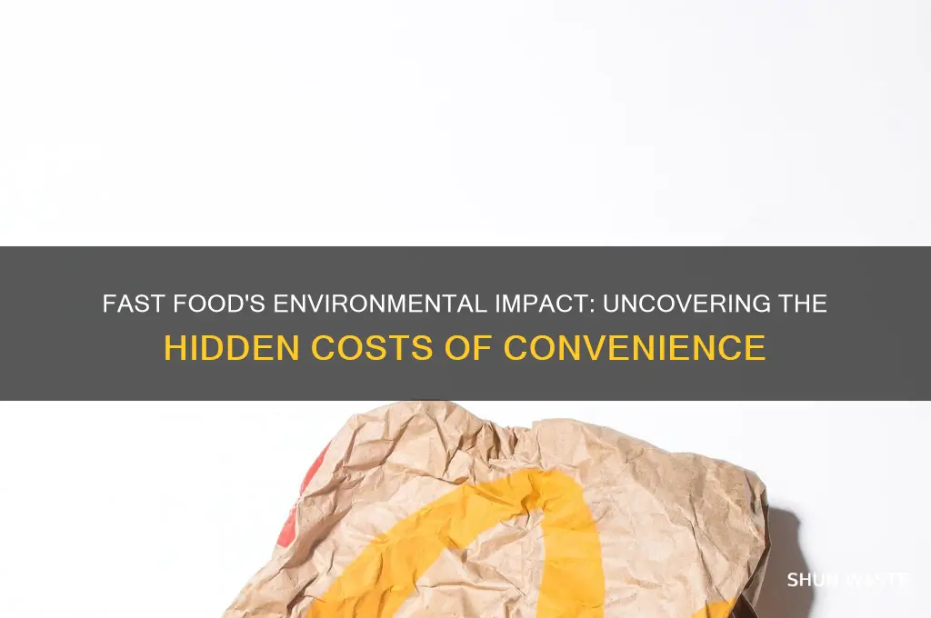 how does the fast food industry affect the environment