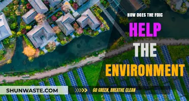 FDIC's Green Impact: Protecting the Environment Through Financial Stability