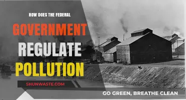 Federal Pollution Control: Strategies and Enforcement