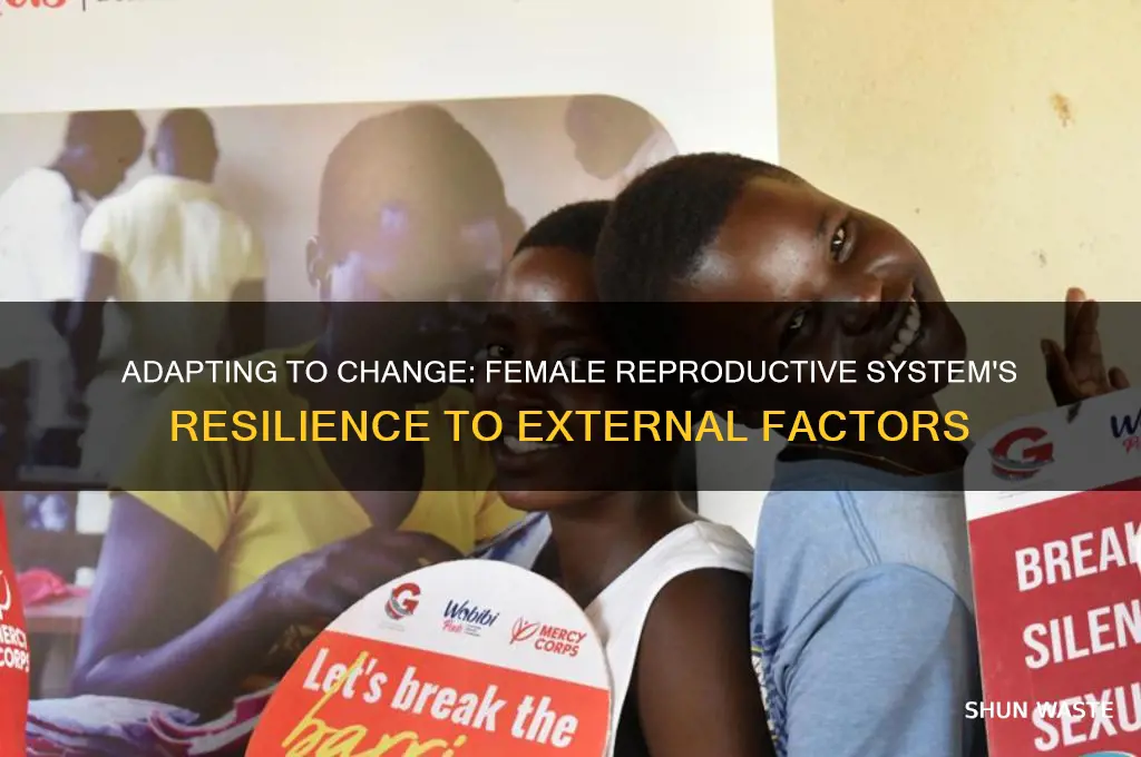 how does the female reproductive system maintain external environment changes