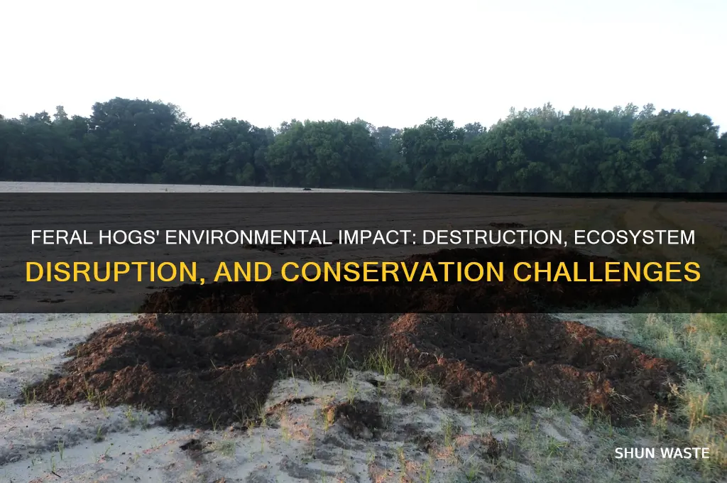 how does the feral hog affect the environment