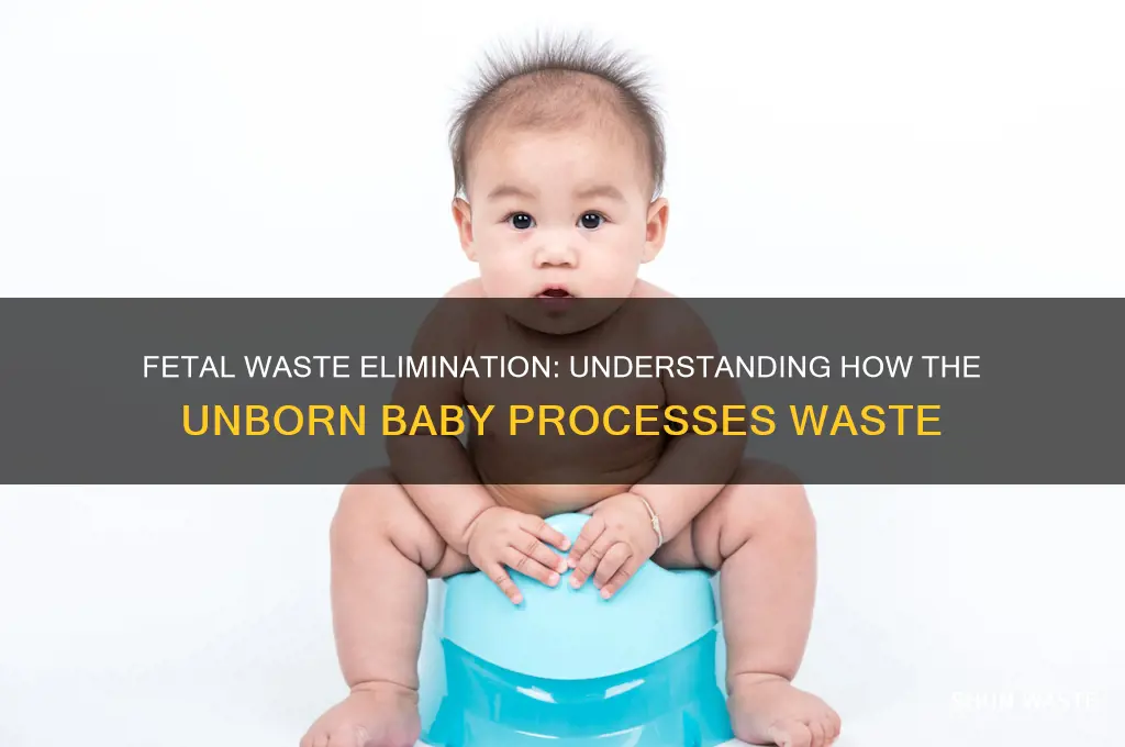 how does the fetus get rid of waste