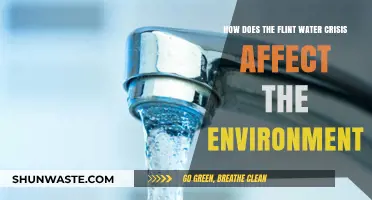Flint Water Crisis: Environmental Impacts and Long-Term Ecological Consequences