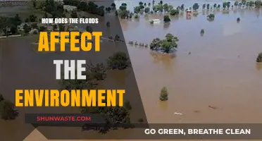 Floods' Environmental Impact: Ecosystem Disruption, Soil Erosion, and Pollution Risks