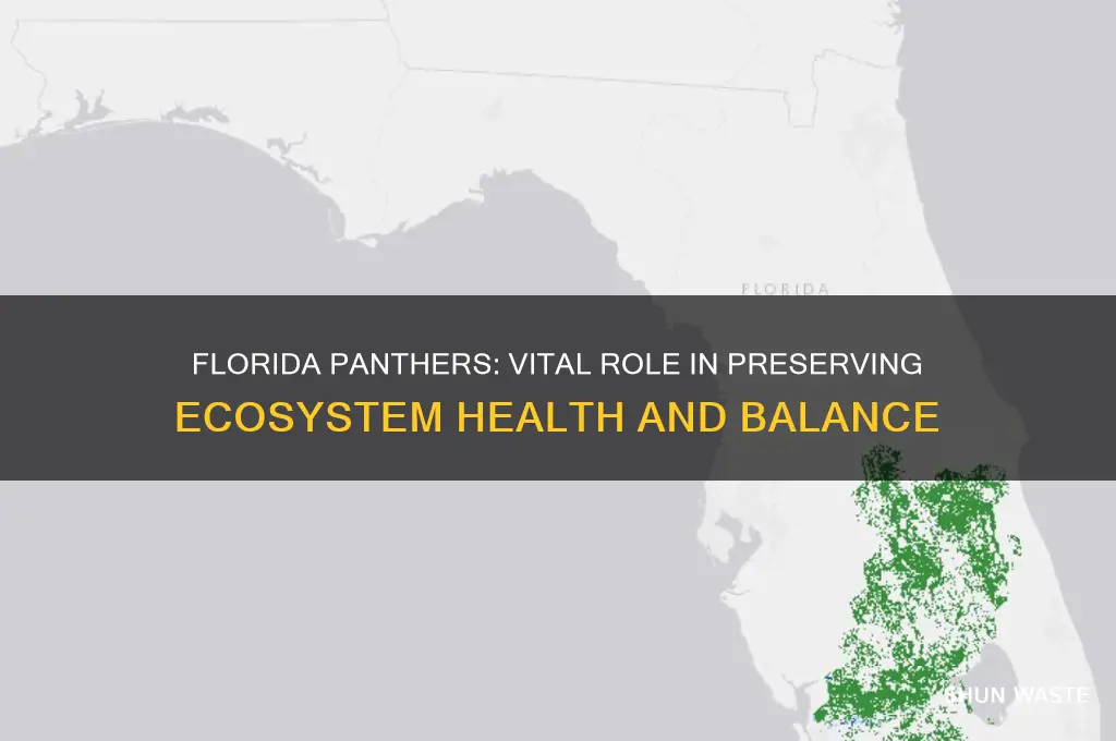how does the florida panther help the environment