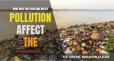 Food and Water Pollution: Impact on Human Health