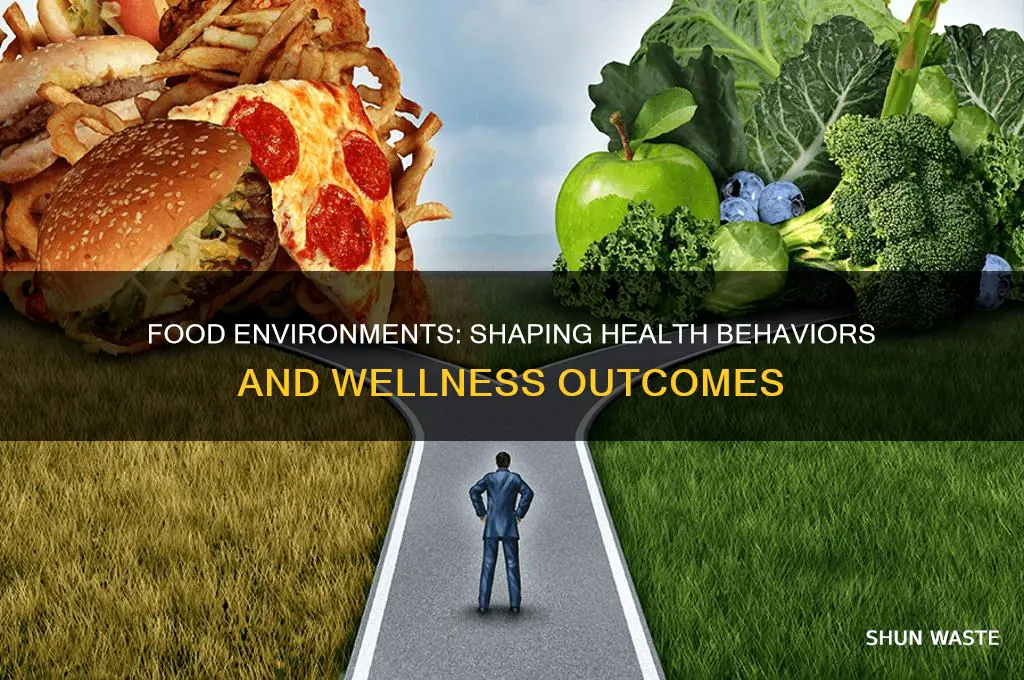 how does the food environment impact health of health behavior