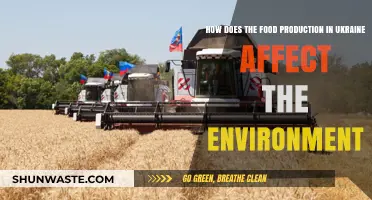 Ukraine's Food Production: Environmental Impacts and Sustainability Challenges