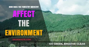 Forestry's Environmental Impact: Balancing Industry Needs with Ecosystem Health
