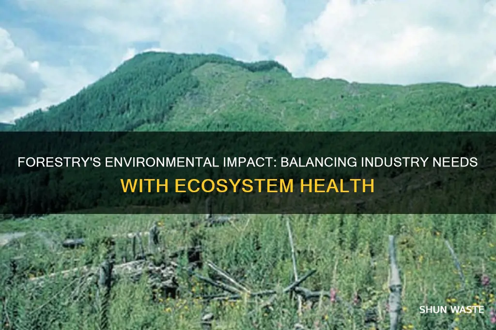 how does the forestry industry affect the environment