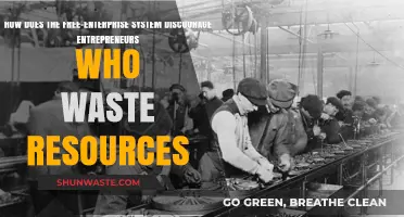 Free Enterprise: Penalizing Wasteful Entrepreneurs, Encouraging Efficient Innovation