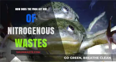 Frog Nitrogen Waste Removal: Understanding Their Unique Excretion Process