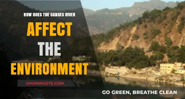 Ganges River's Environmental Impact: Challenges, Conservation, and Ecosystem Effects