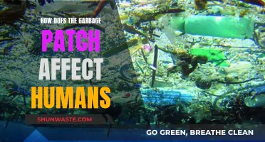 The Great Pacific Garbage Patch: Impact on Human Health