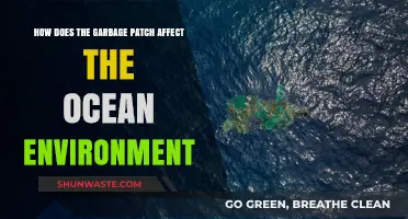 Garbage Patch Crisis: Devastating Impacts on Ocean Ecosystems and Wildlife