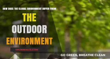Global vs Outdoor: What's the Real Difference?