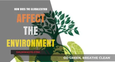 Globalization's Environmental Impact: Challenges, Consequences, and Sustainable Solutions