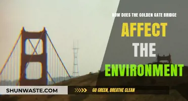 Golden Gate Bridge's Environmental Impact: Challenges and Sustainable Solutions