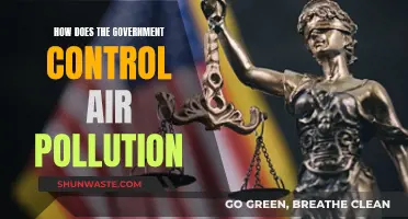 Air Pollution: Government Strategies and Solutions