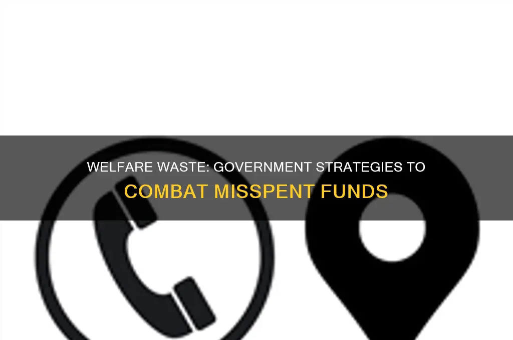 how does the government deal with wasted money on welfare