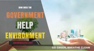 Government Initiatives: Protecting Our Environment Through Policies and Programs