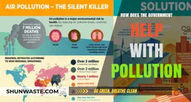 Government Initiatives: Battling Pollution and Saving the Planet