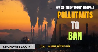 Air Quality: Identifying Pollutants for Regulation