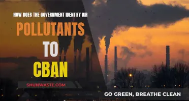 Air Pollution: Identifying and Taking Action