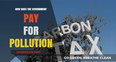 Pollution Tax: Government's Revenue from Environmental Degradation