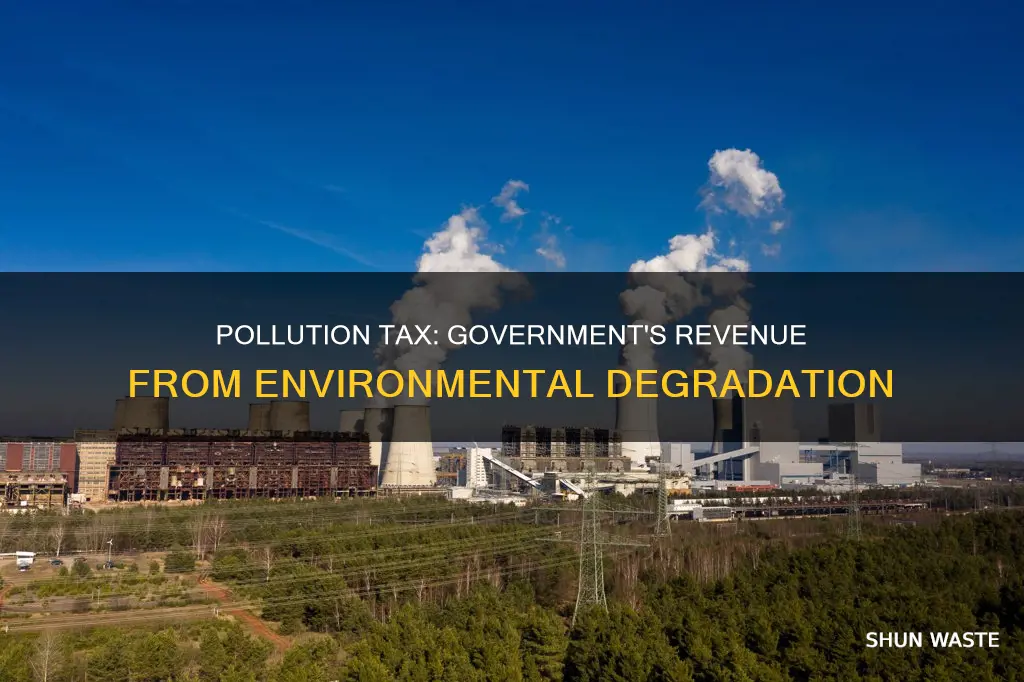 how does the government pay for pollution