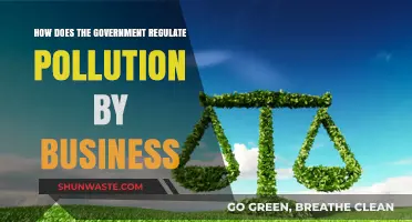 Regulating Business Pollution: Government's Role and Strategies