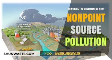 Battling Nonpoint Source Pollution: Strategies and Government Action