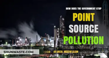 Government Strategies to Combat Point Source Pollution