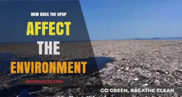 How the Great Pacific Garbage Patch Devastates Our Environment and Wildlife