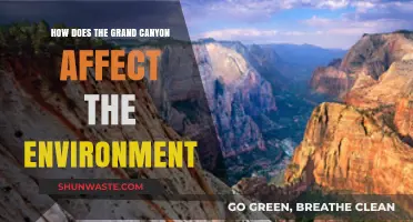 Grand Canyon's Environmental Impact: Shaping Ecosystems and Climate Dynamics