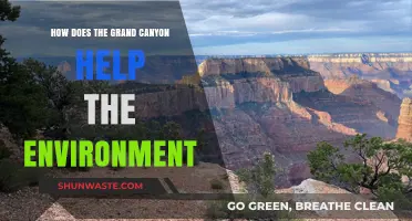 Grand Canyon's Vital Role in Sustaining Our Environment and Ecosystems