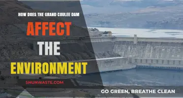 Grand Coulee Dam's Environmental Impact: Ecosystem Changes and Consequences