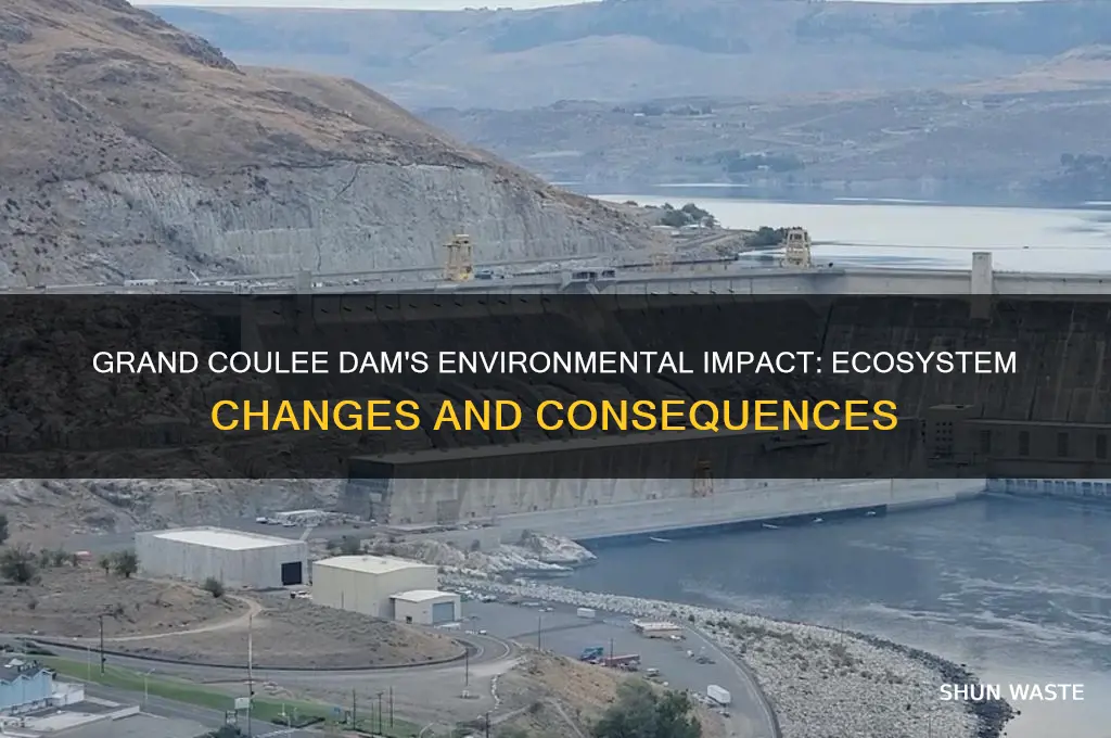 how does the grand coulee dam affect the environment