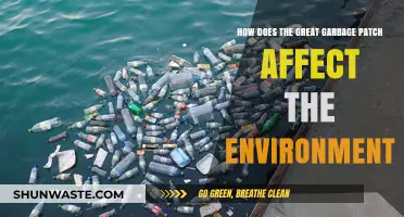 The Great Pacific Garbage Patch: Environmental Impact and Urgent Solutions