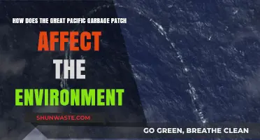 The Great Pacific Garbage Patch: Environmental Impact and Urgent Solutions