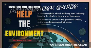 The Greenhouse Effect: Earth's Natural Climate Regulator and Environmental Ally