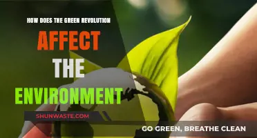 Green Revolution's Environmental Impact: Benefits, Challenges, and Sustainability Concerns