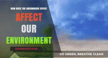 Greenhouse Effect: Impact on Climate, Ecosystems, and Our Planet's Future
