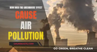 Greenhouse Effect: Understanding Air Pollution's Root Cause